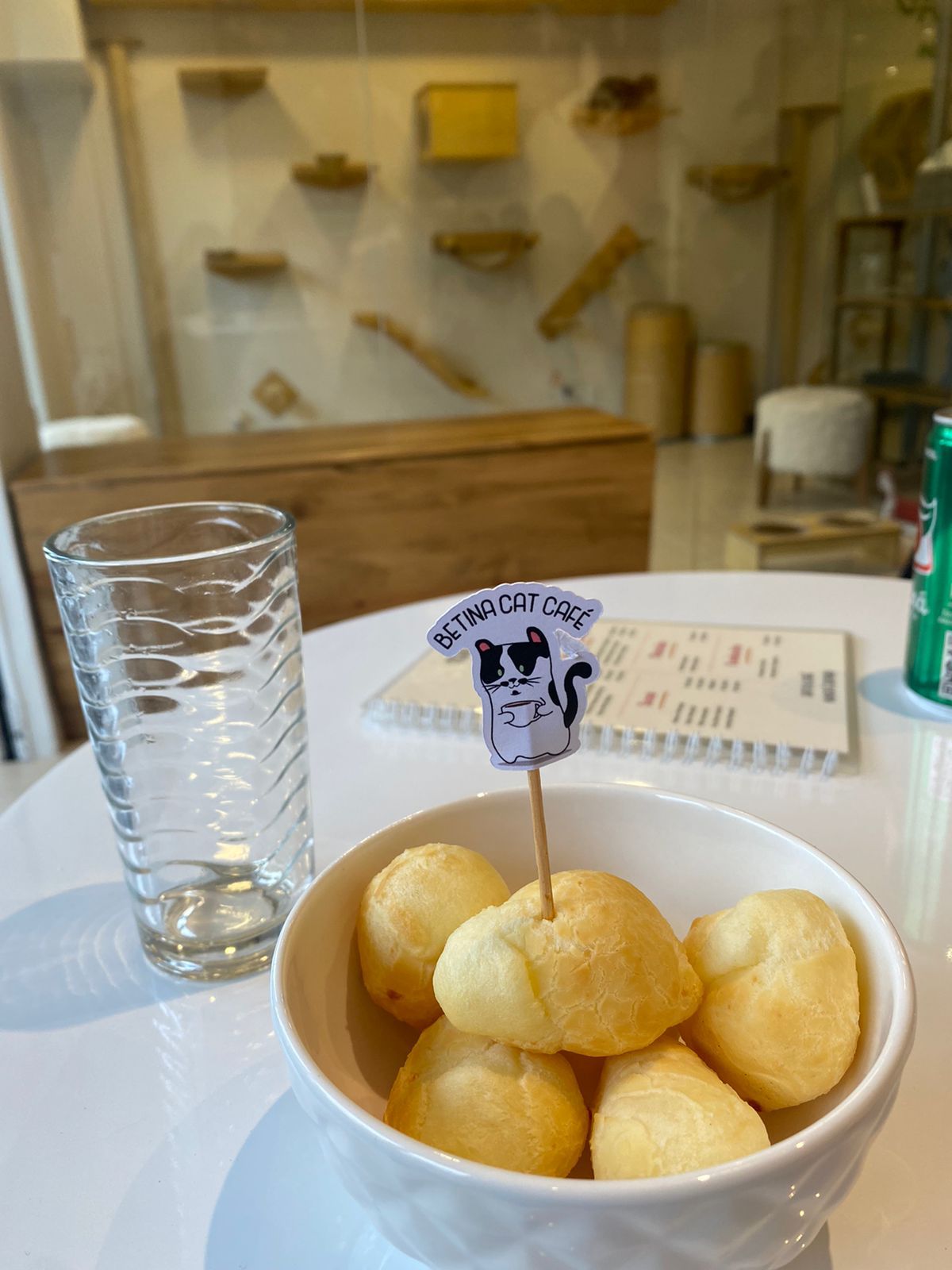 Betina Cat Café, Brasília
